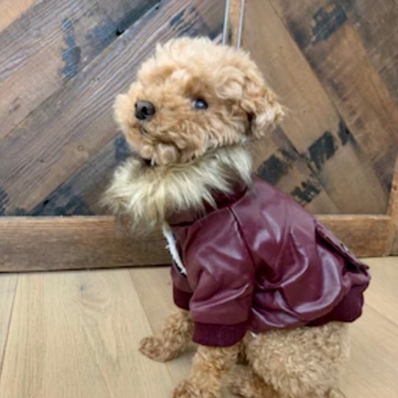 Other - Doggy Bomber Winter Sherpa Lined Jacket Snap Button Burgundy Wine Coat Fur Hood